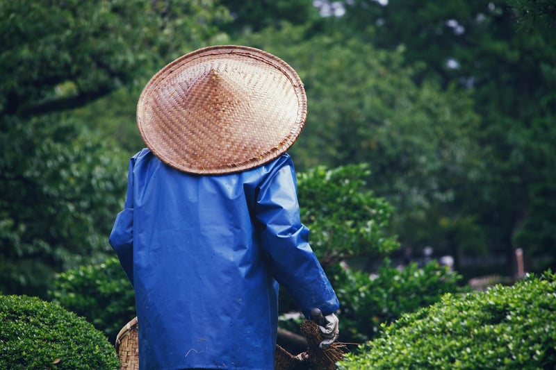 Garden Pests